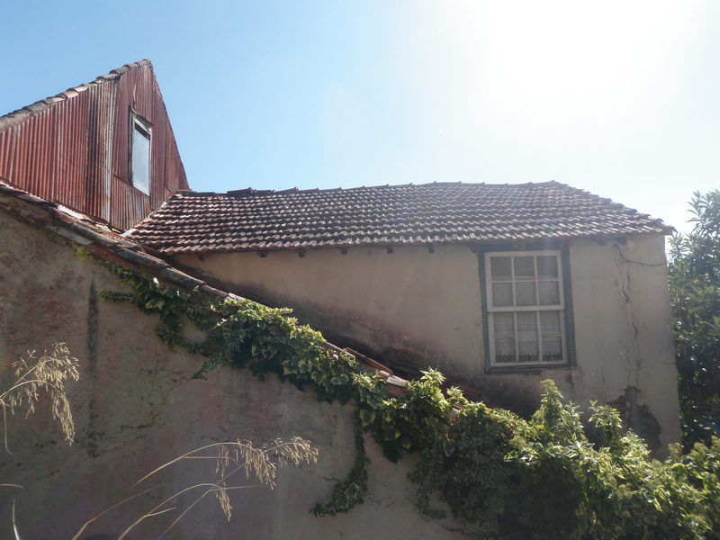 house, sunlight, old houses, 2K, luz lateral, building, window, day, low angle view, sky, plant, architecture, built structure, clear sky, outdoors, nature