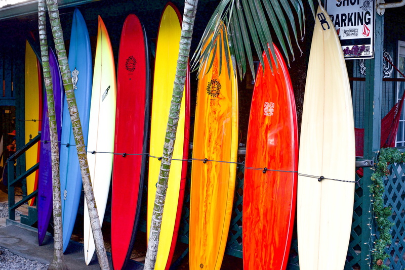 architecture, wall - building feature, side by side, hanging, yellow, surfboards, colourful, surfboard, in a row, for sale, choice, 5K, text, variation