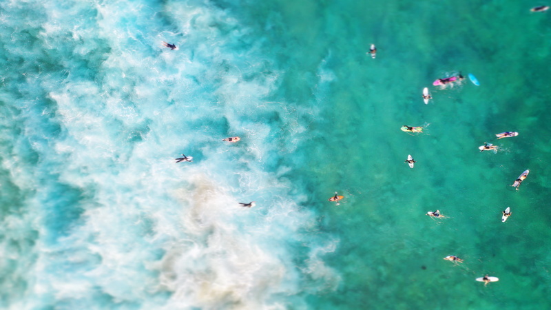 swimming, bright, sea, close-up, blue, surfboards, waves, animal, fish, animal wildlife, beach, color, turquoise, full frame, outdoors, surfboarding, ocean