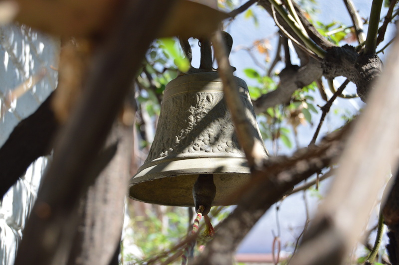 animal, perching, animal themes, tree, low angle view, campaign, clapper, animals in the wild, outdoors, bird, no people, branch, selective focus, hanging
