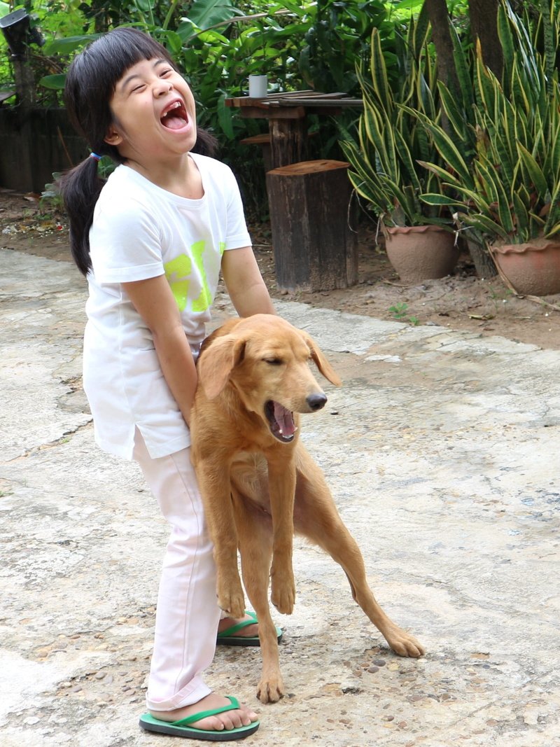 countryside, culture, People, day, Smile, arent canny, lifestyle, outdoors, the animal world, child, mastiff, happy, friendship, nature, leisure activity