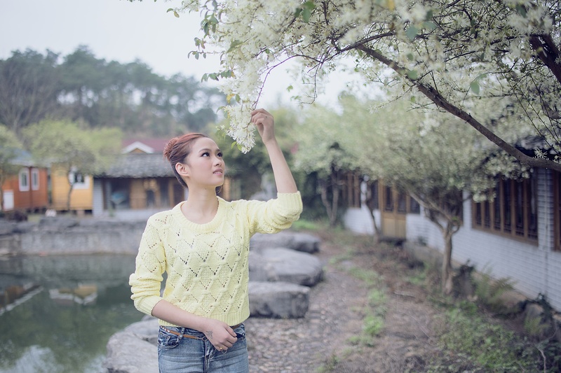 hairstyle, flower, one person, looking away, white flowering tree, sweater, front view, catch of spring, lifestyles, looking, beautiful, women, check dam green spring outing