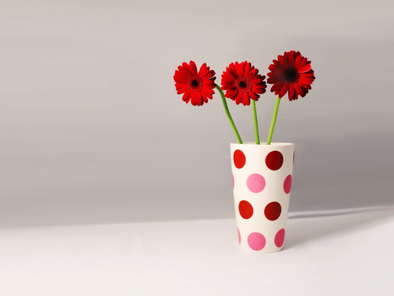 vase, fragility, flower Pot, green Color, backgrounds, photography, yellow, close-up, indoors, petaled, white Background, multi Colored, white, focus, growth