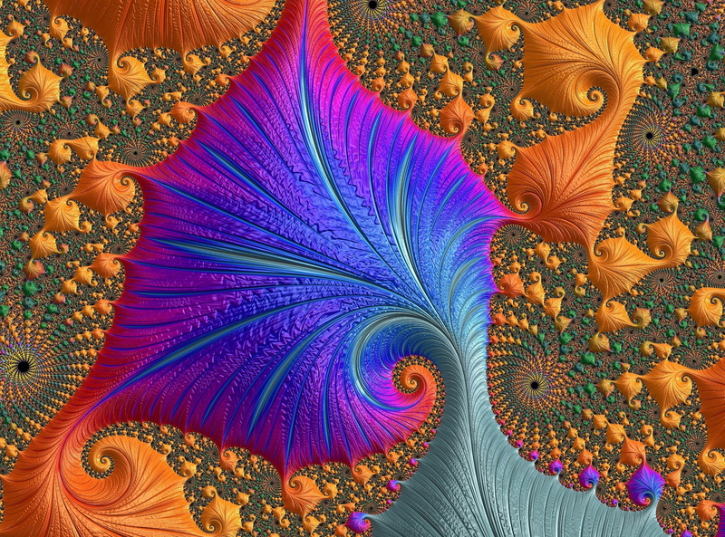 purple, pattern, full frame, blue, fractal, beauty, 2K, bird, animal, design, peacock, backgrounds, beauty in nature, animal wildlife, close-up, color
