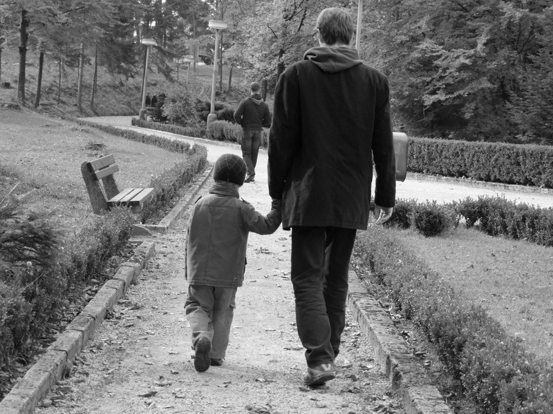 plant, father, family, grandchild, photo, nature, movement, boys, trees, adult, walking, women, bush, man, children, grandfather, boy, full length, the way forward