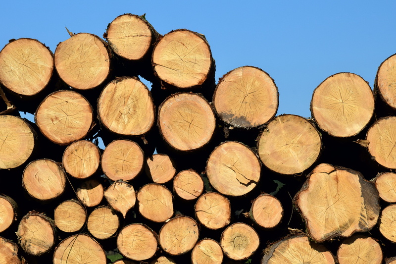 circle, woodpile, wood - material, no people, fuel and power generation, like, forest, lot, timber, stack, full frame, heap, lumber industry, backgrounds