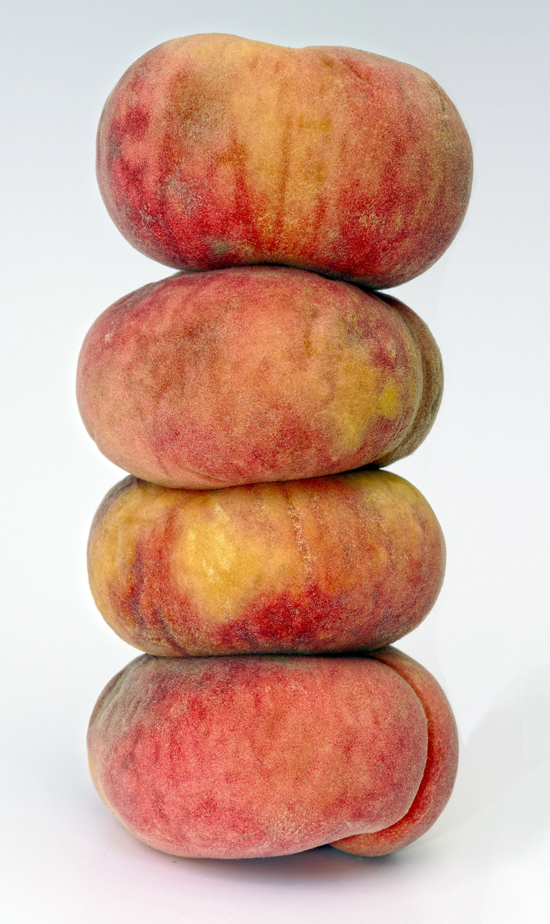 white background, natural, close-up, in a row, no people, prunus persica, frisch, saturn peach, vitamins, bio, healthy eating, fruit, healthy diet, studio shot
