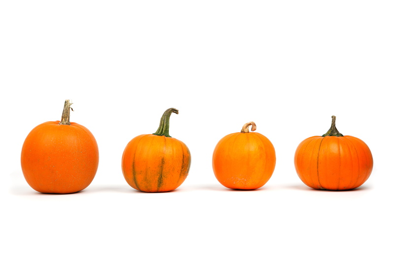 orange, copy space, fall, freshness, food, four, group of objects, row, thanksgiving, autumn, wellbeing, white background, isolated, fresh, plant stem